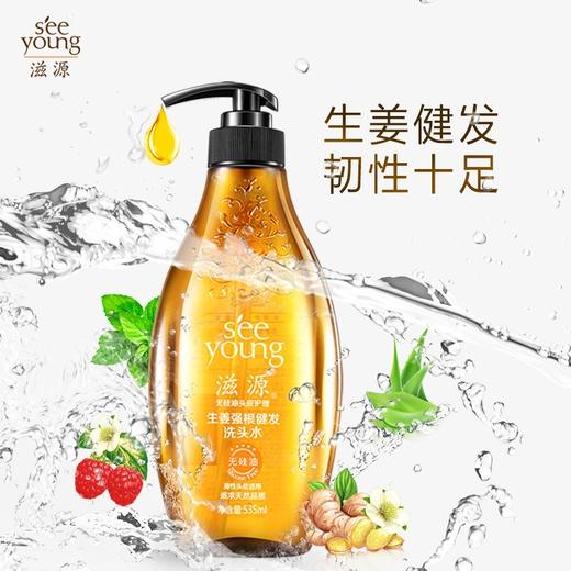 滋源生姜强根健发洗头水535ml 商品图4