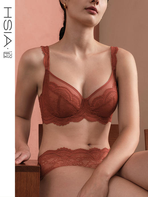 HSIA遐全罩杯内衣女【小皇冠】防下垂性感镂空轻薄大胸显小文胸 商品图0