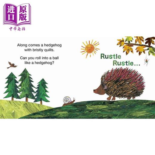 【中商原版】纸板书 非常忙碌的蜘蛛的森林朋友The Very Busy Spiders Forest Friends英文原版纸板书触摸书 进口童书认知识物 商品图3