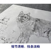 【大彩图】刘继彪横幅工笔画白描底稿《双狗》德牧临摹勾线动物线稿GG03 商品缩略图4