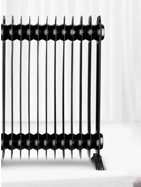 先锋电热油汀DYT-Z10（DS2163） 商品图1