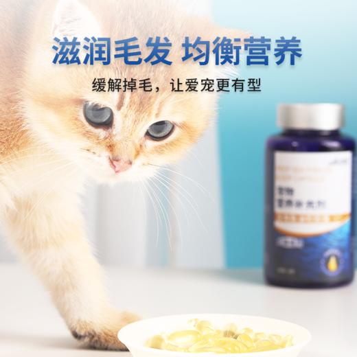 宝莱美露鱼油胶囊60粒 卵磷脂美毛护毛 犬猫通用 商品图5