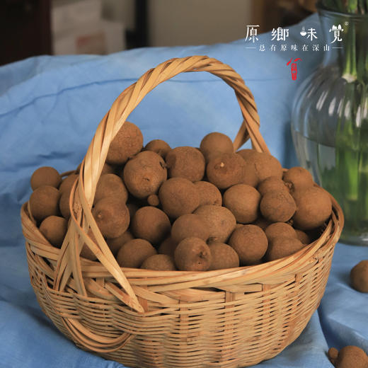 野生桂圆干（成都仓库-顺丰快递）| 200g/罐，来自福建泉州，生产者：谢章民【合作生产，公平贸易】 商品图3