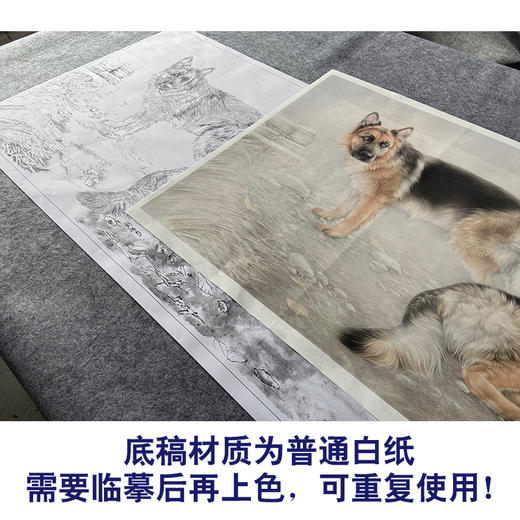 【大彩图】刘继彪横幅工笔画白描底稿《双狗》德牧临摹勾线动物线稿GG03 商品图3