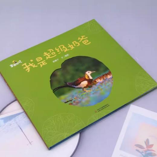 家园日记——我是超级奶爸适读年龄4-8岁 商品图1