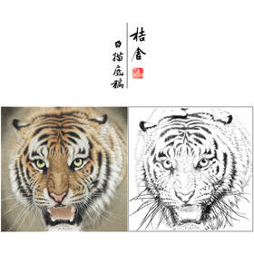 【大彩图】孟祥顺工笔画白描底稿斗方《老虎头》临摹勾线动物线稿A638