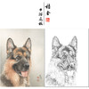 【大彩图】刘继彪工笔画白描底稿《狼狗》临摹勾线动物线稿GG07 商品缩略图0