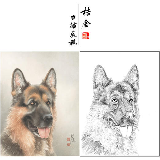 【大彩图】刘继彪工笔画白描底稿《狼狗》临摹勾线动物线稿GG07 商品图0