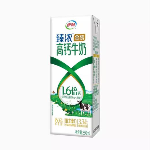 伊利臻浓金装高钙纯牛奶  250ml*10/提 商品图1