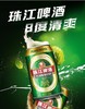 珠江8度啤酒 24*330ML/罐 商品缩略图1