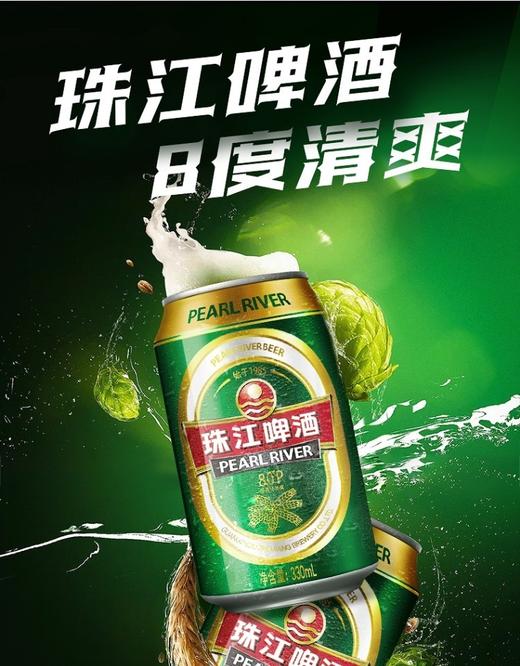珠江8度啤酒 24*330ML/罐 商品图1