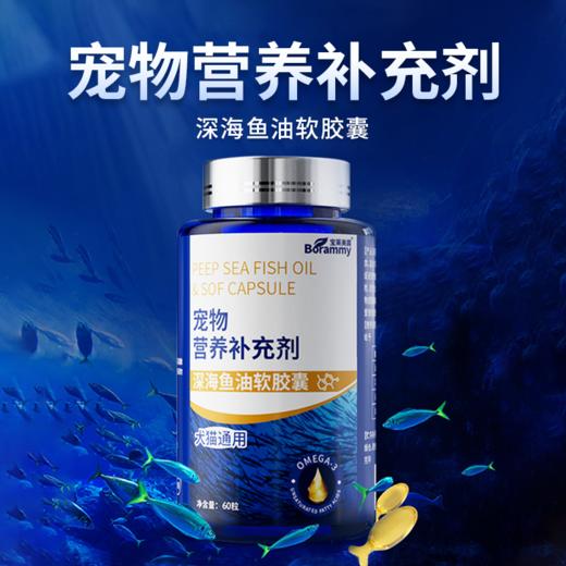 宝莱美露鱼油胶囊60粒 卵磷脂美毛护毛 犬猫通用 商品图1