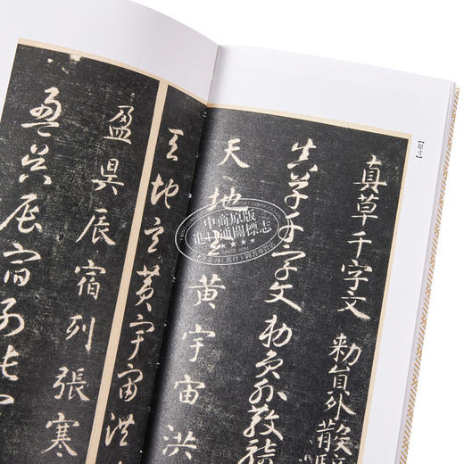 预售 【中商原版】二玄社字帖 智永真书千字文 精选扩大法帖 7 进口艺术 関中本千字文 精選拡大法帖 7 二玄社出版 日文原版 商品图3