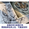 【大彩图】孟祥顺工笔画白描底稿斗方《老虎头》临摹勾线动物线稿A641 商品缩略图3