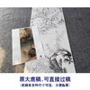 【大彩图】王生勈工笔画白描底稿《兔子》初学者临摹勾线动物线稿A653 商品缩略图1