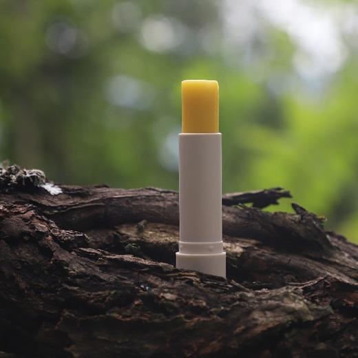 【下单立减10元】蜂蜜唇膏持久保湿锁住水份淡化唇纹 4g/支 商品图1