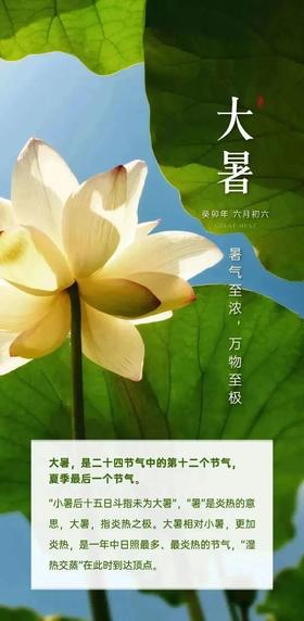 节令养生——大暑