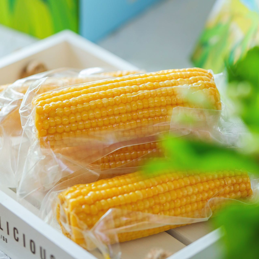 〔产地直发包邮60〕长春有机糯玉米
