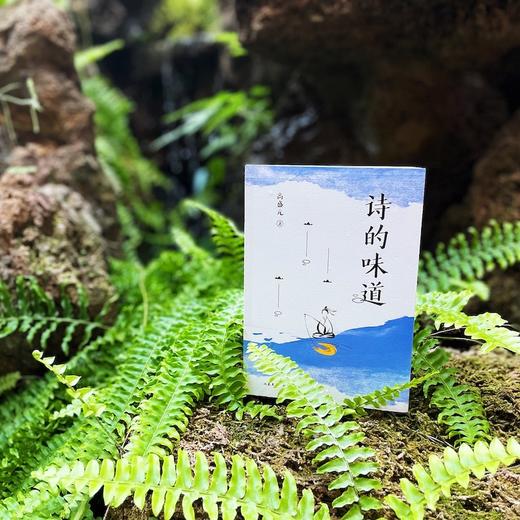 诗的味道（精讲唐宋十大诗人代表作，“长大后才明白，原来那首诗写的是我”） 商品图2