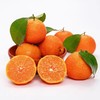 沙糖桔 约2斤 /份 /份 商品缩略图2