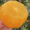 【秒拍尝鲜爱媛果冻橙到店】！汁多的溢出来！纯甜，一丢丢酸。薄！美！无核 ，请叫我橙子君！果皮薄透，多汁 商品缩略图4