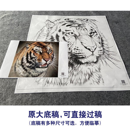 【大彩图】孟祥顺工笔画白描底稿斗方《老虎头》临摹勾线动物线稿A639 商品图1