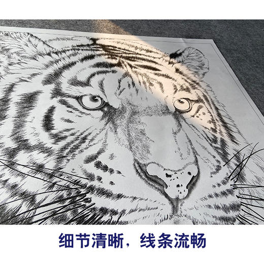 【大彩图】孟祥顺工笔画白描底稿斗方《老虎头》临摹勾线动物线稿A640 商品图4