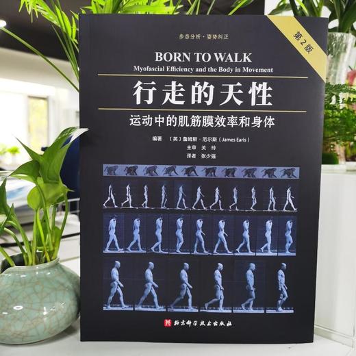 行走的天性 运动中的肌筋膜效率和身体 第2版 商品图1