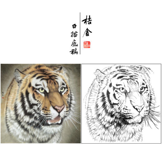 【大彩图】孟祥顺工笔画白描底稿斗方《老虎头》临摹勾线动物线稿A639 商品图0