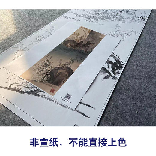 【大彩图】王生勈工笔画白描底稿《兔子》初学者临摹勾线动物线稿A653 商品图2