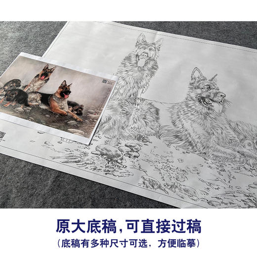 【大彩图】刘继彪横幅工笔画白描底稿《四犬》临摹勾线动物线稿GG04 商品图1