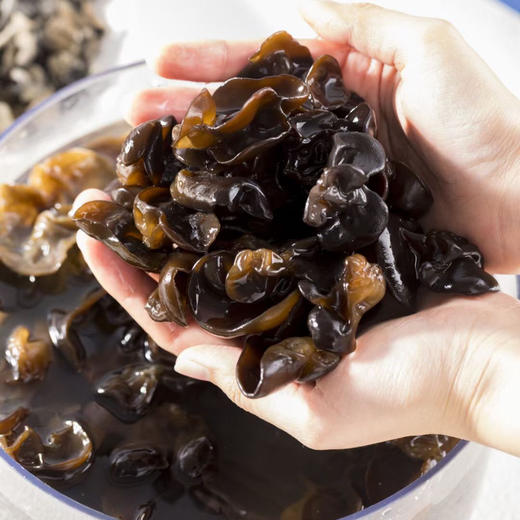 中国黑木耳之乡 润乡秋木耳/有机黑（春）木耳  双有机认证 商品图3