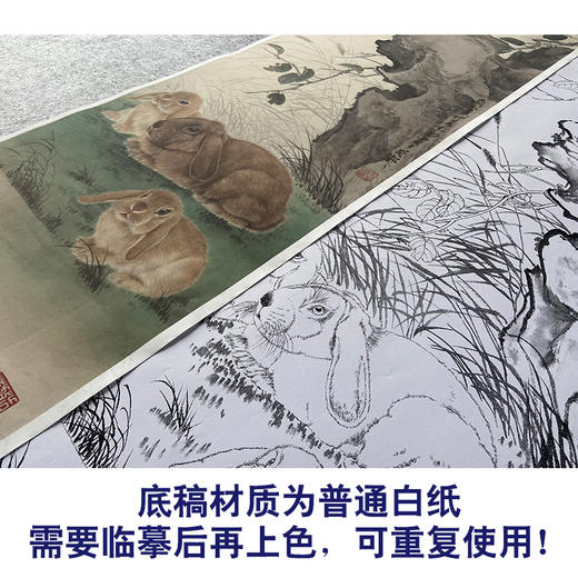 【大彩图】王生勈工笔画白描底稿《兔子》初学者临摹勾线动物线稿A650 商品图3