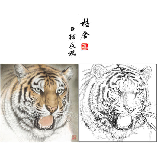 【大彩图】孟祥顺工笔画白描底稿斗方《老虎头》临摹勾线动物线稿A640 商品图0