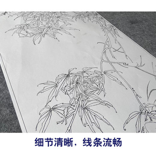 【大彩图】王生勈工笔画白描底稿《兔子》初学者临摹勾线动物底稿A651 商品图4