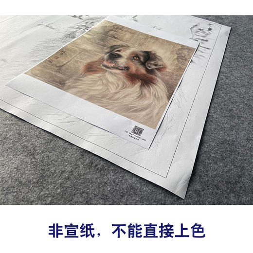 【大彩图】刘继彪工笔画白描底稿《单小狗》临摹勾线动物线稿GG08 商品图2