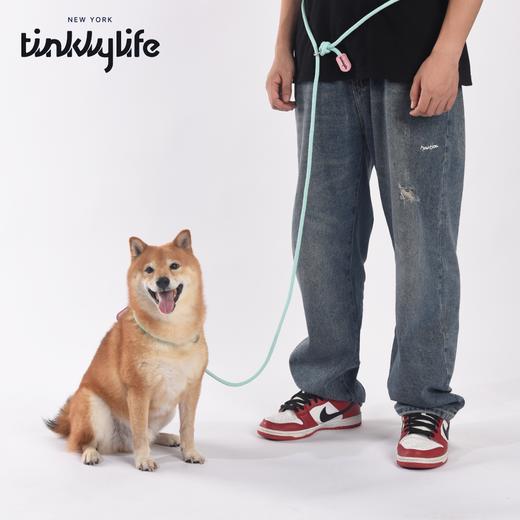 Tinklylife  专业训练牵引绳 商品图2
