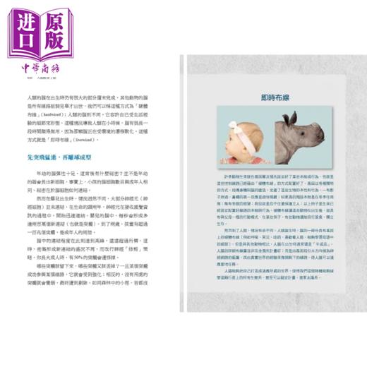 【中商原版】大脑解密手册 谁在做决策 现实是什么 为何没有人是孤岛 科技将如何改变大脑的未来 港台原版 伊葛门 天下文化 商品图4