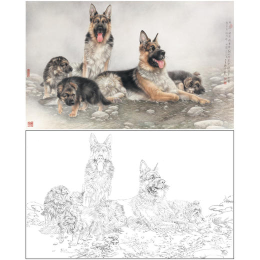 【大彩图】刘继彪横幅工笔画白描底稿《四犬》临摹勾线动物线稿GG04 商品图0