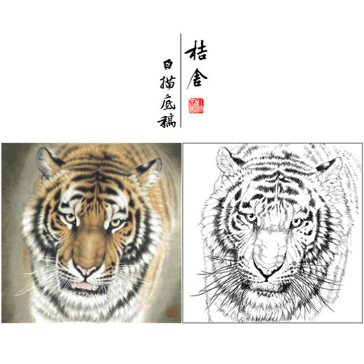 【大彩图】孟祥顺工笔画白描底稿斗方《老虎头》临摹勾线动物线稿A641 商品图0