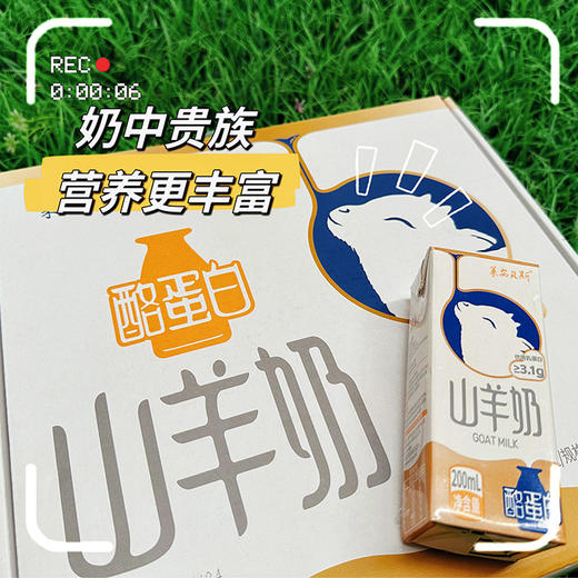 【树洞专属】莱安贝斯山羊奶200ml*10瓶 商品图1