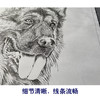 【大彩图】刘继彪工笔画白描底稿《狼狗》临摹勾线动物线稿GG07 商品缩略图4