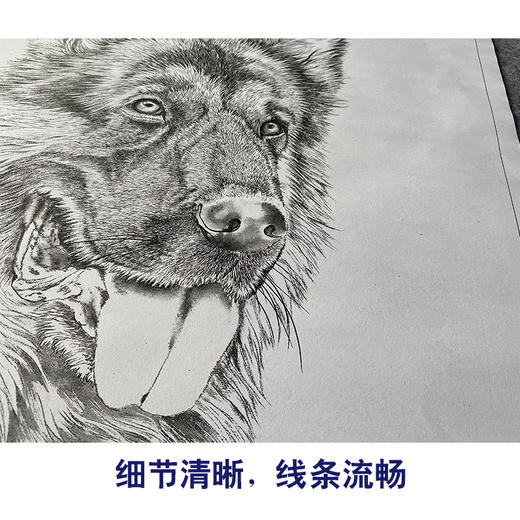 【大彩图】刘继彪工笔画白描底稿《狼狗》临摹勾线动物线稿GG07 商品图4