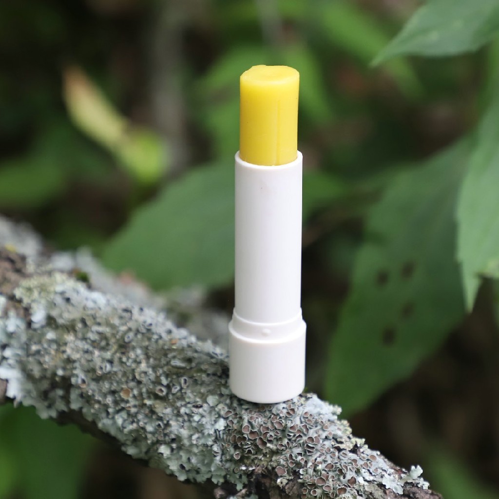 【下单立减10元】蜂蜜唇膏持久保湿锁住水份淡化唇纹 4g/支