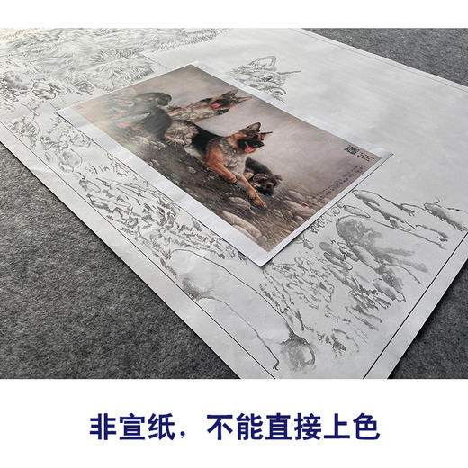 【大彩图】刘继彪横幅工笔画白描底稿《四犬》临摹勾线动物线稿GG04 商品图2