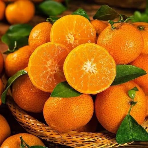 沙糖桔 约2斤 /份 /份 商品图3