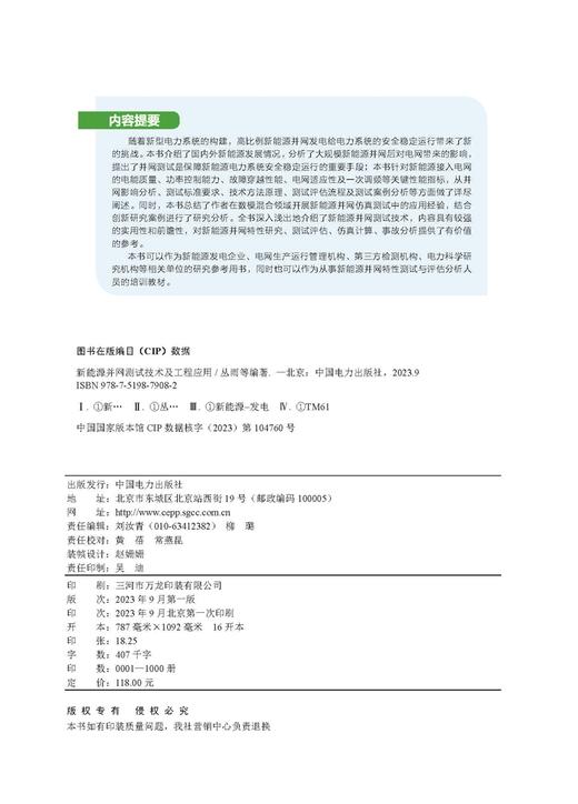 新能源并网测试技术及工程应用 商品图0