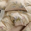 顶柔 全棉印花磨毛四件套（220cm*240cm）[福利品] 商品缩略图1