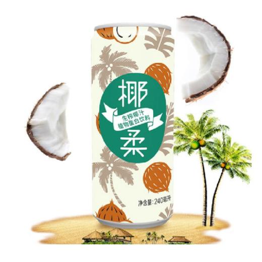 王老吉  椰柔植物蛋白饮料 生榨椰汁  240m1*12 商品图2
