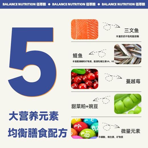 麦富迪佰萃粮成猫粮三文鱼鳀鱼小鱼干通用型营养发腮主粮500g/2kg 商品图2